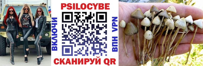KRAKEN как зайти  Билибино  Галлюциногенные грибы GOLDEN TEACHER 